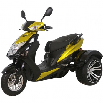 800W-1000W Stonger Climbing Three Wheel Electric Fat Tire Mobility Scooter for Young