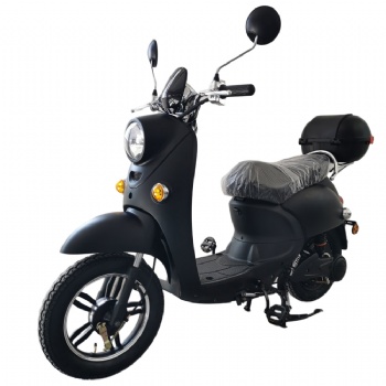 500W Fashion Adult Electric Scooter, 2 Wheel Electric Bicycle, E-Bicycle (ES-013)