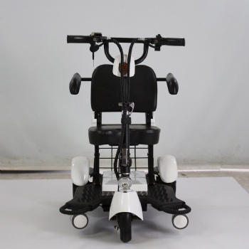 Best Price 3 Three Wheel Electric Tricyle E-Scooter for Elder (TC-011)