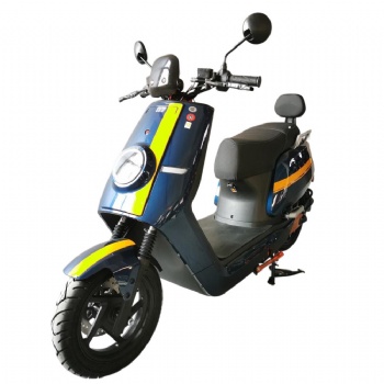 Market Hot Two Wheel 1200W Electric Scooter/Motorcycle (EM-013)