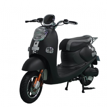 Fashionable1000W Electric Motorcycle for Adult(EM-029)