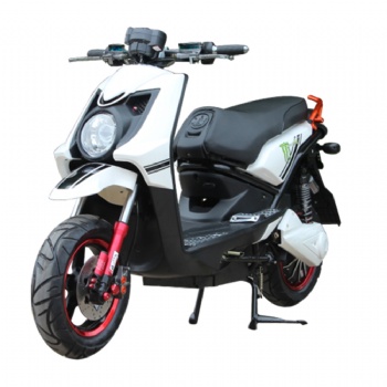 Hot Sale 2 Wheel Electric Scooter/Electric Motorcycle for Adults (EM-042)