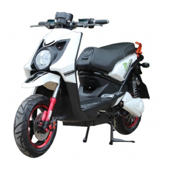 Hot Sale 2 Wheel Electric Scooter/Electric Motorcycle for Adults (EM-042)