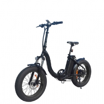 250W36V Lithium Battery Electric Bicycle, with 20