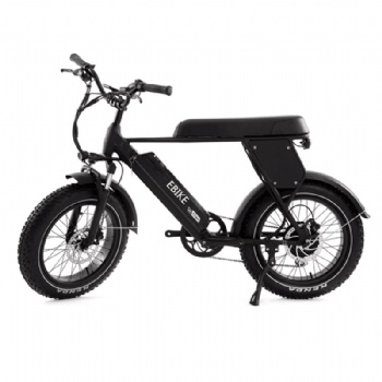 Good Designed Fat Tire Electric Bicycle with Samsung Lithium Battery (ML-FB002)