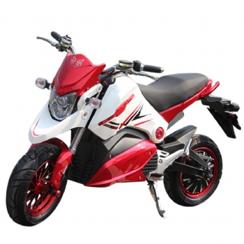 Big Motor Two Wheel Adult Electric Racing Motorcycle (EM-030)