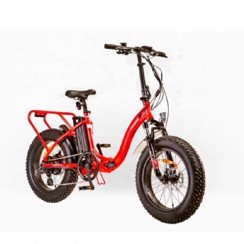 Fashion Fat Tire Electric Bicycle with Lithium Battery (ML-FB010)