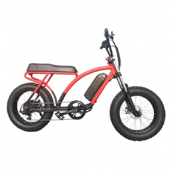 48V 500W Motor Electric Bicycle with Lithium Battery, Fat Tire E-Bike (ML-FB012)