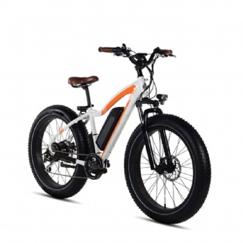 500W Hot Sale Electric Bicycle with Lithium Battery (ML-TDE10Z)