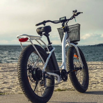 Good Quality Fat Tire Electric Bicycle Ebike, Mobility Bike (ML-FB014)
