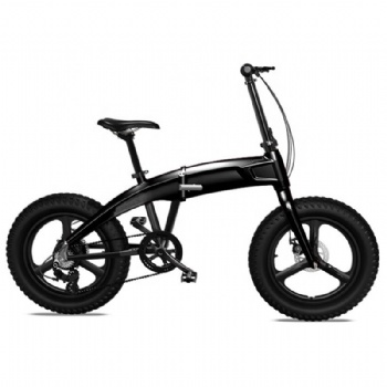 High Quality E-Bike, Electric Bike with Magnesium Wheel (ML-FB004)