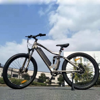 Electric Ebike with 250W Motor 36V 10.4ah Lithium Battery (ML-TDB20Z)