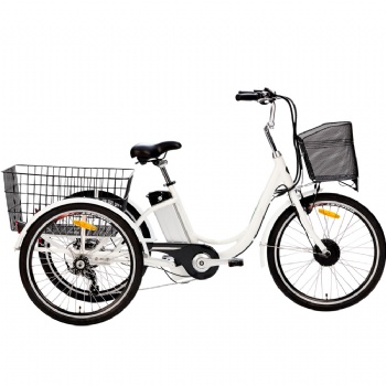 Cheap 250W Motor Electric Bicycle with Basket (ML-TDM02Z)