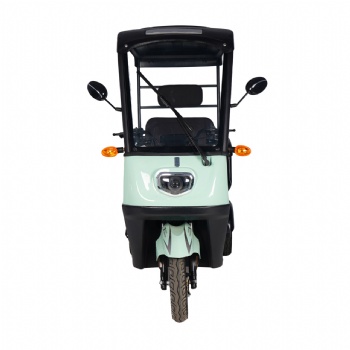 3 seater passenger EV Rickshaw electric tricycle with roof(TC-043)