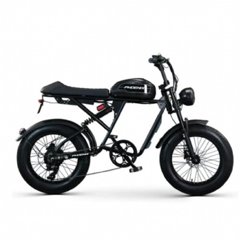 Outdoor Mountain Electrically Bike Bicycle Electr Motor Fat Tire Ebike Cheap Electric Bikes for Adults (EB-005)