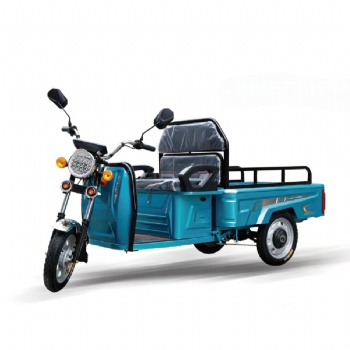 Cost-Effective Three Wheeler Battery Powered 1000W 3 Wheel Cargo Electric Tricycle Electric Tricycle for Adults（CT-011)