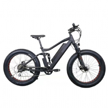 Electric Bike/Bicycle